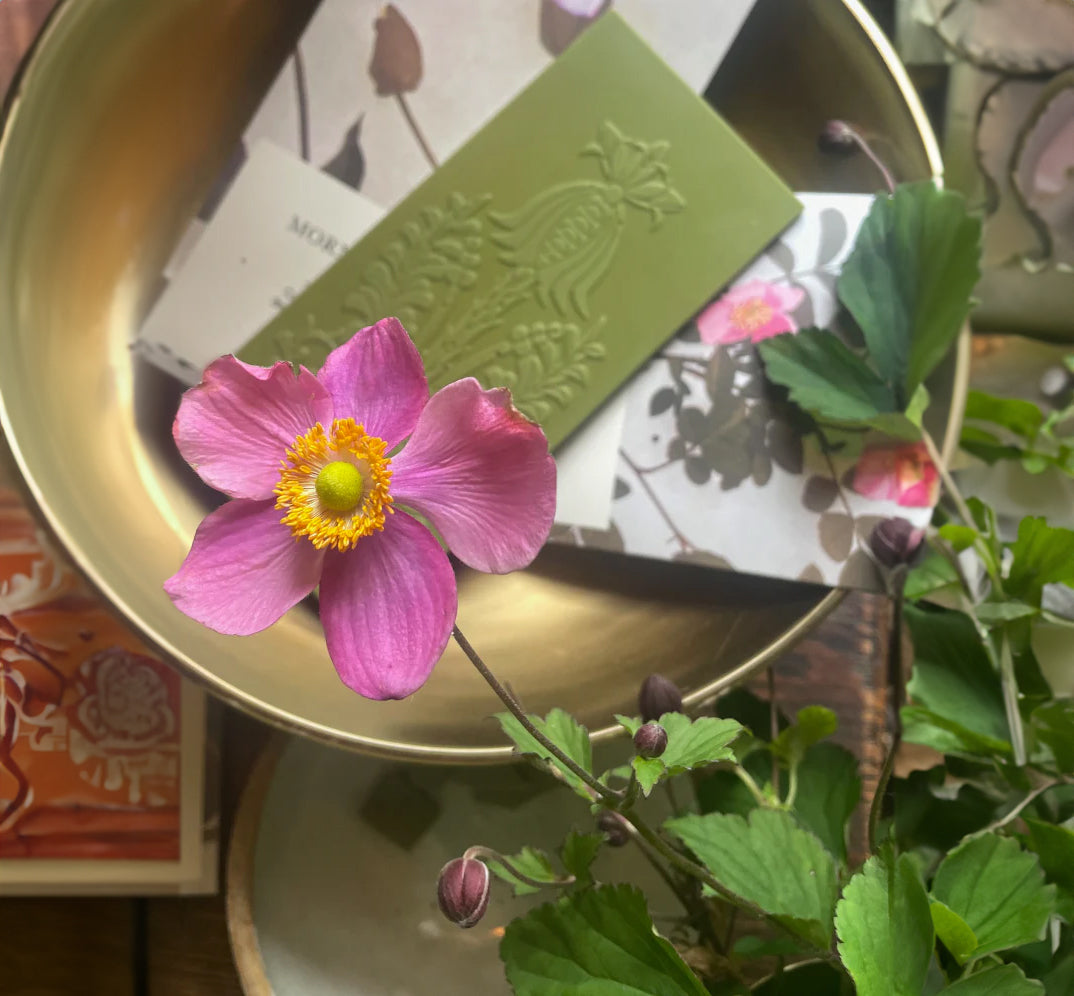 Matcha Rose Bar