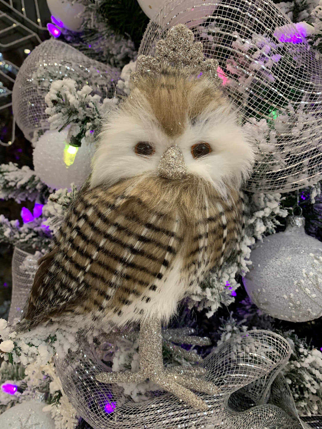 Avery Graham Noble Owl